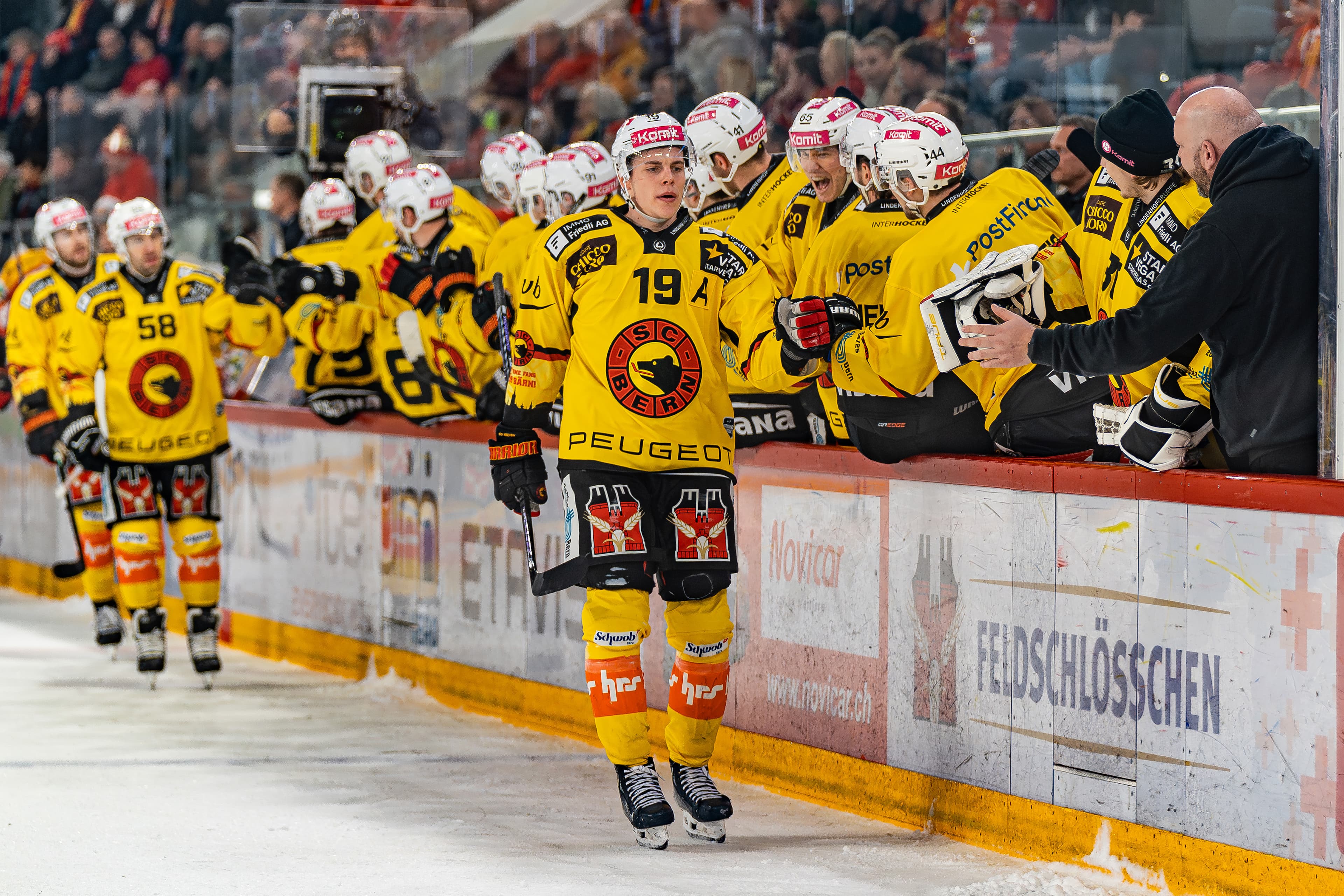 SC Bern